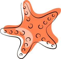 Starfish Illustration